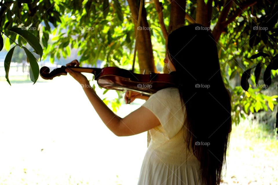 violin