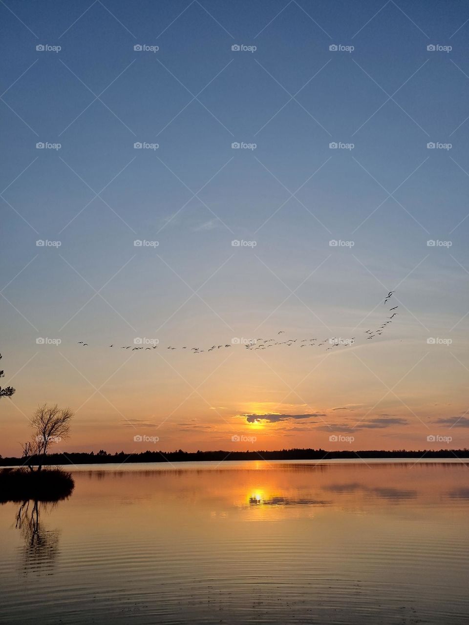 "All the different colours in one sunset"