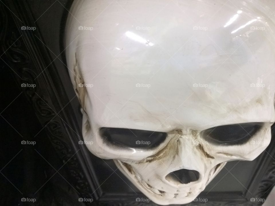 Looking at a skull decoration.