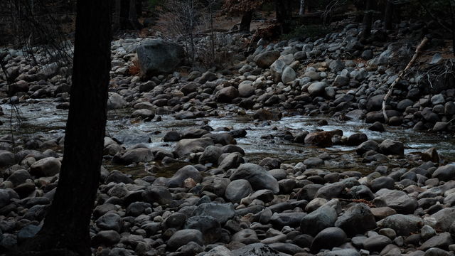 Pebbles and rocks in river
