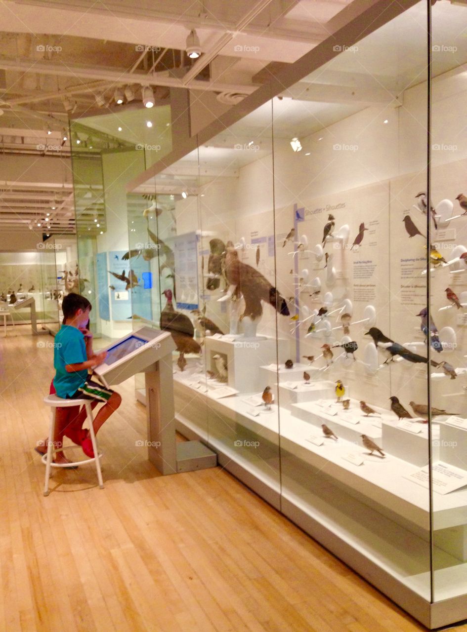 Children sitting in front of monitor screen in museum