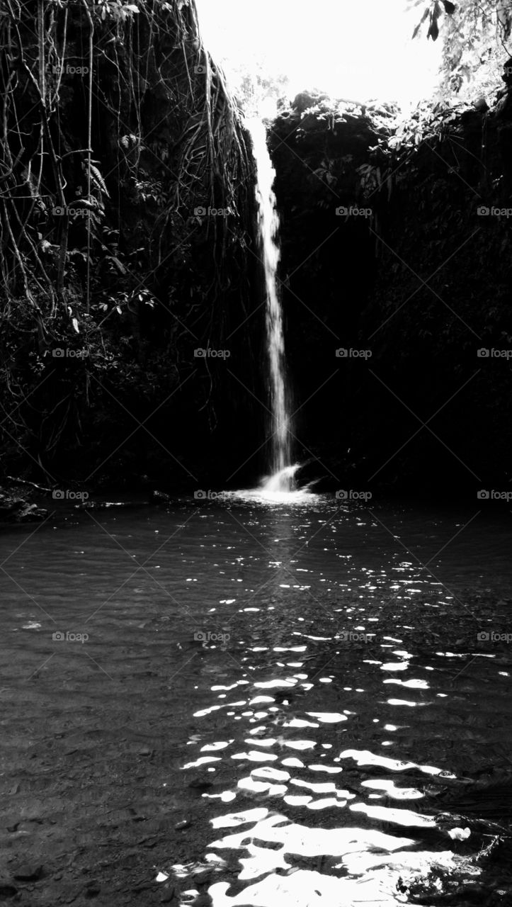 water falls. milk droop