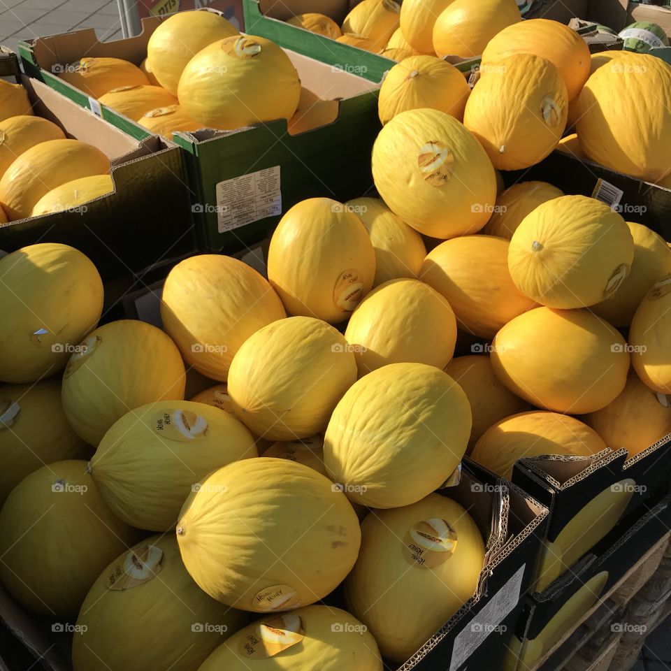 Sunny melons on display