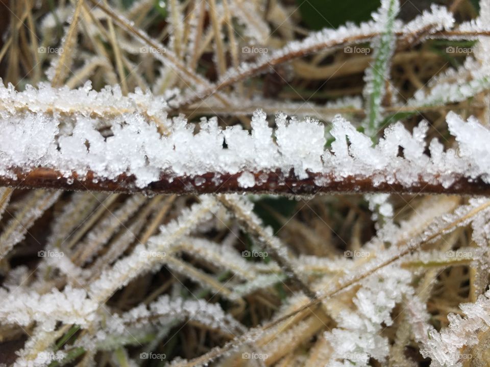 Frosty ground