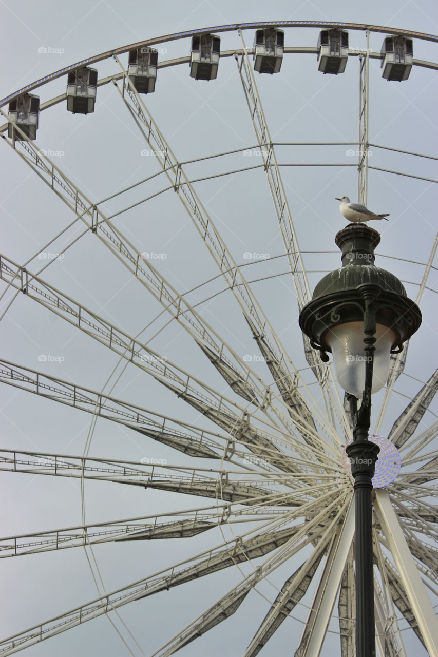 Ferry wheels and a lamppost with a pigeon above