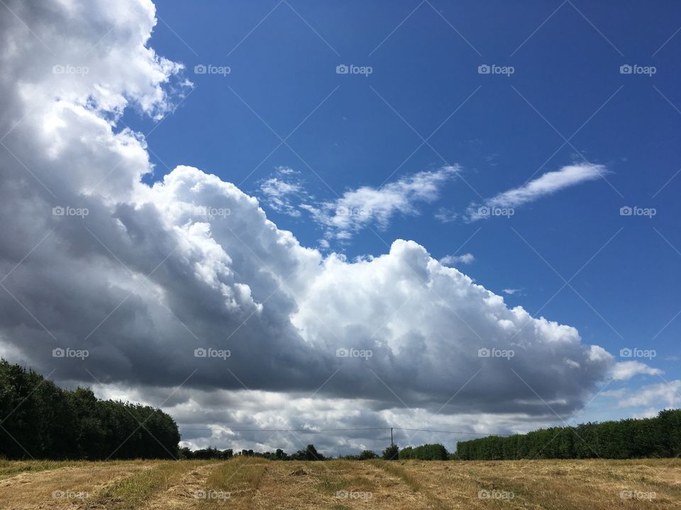 Cloud dragon swooping closer