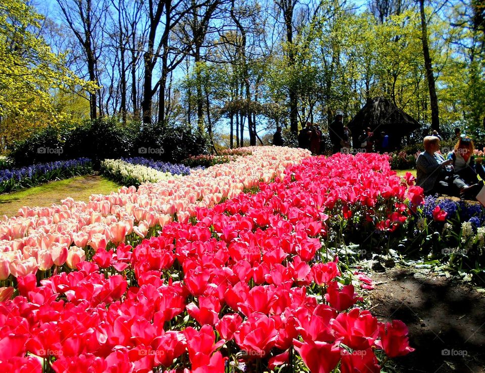 Disfrutando a pleno la primavera