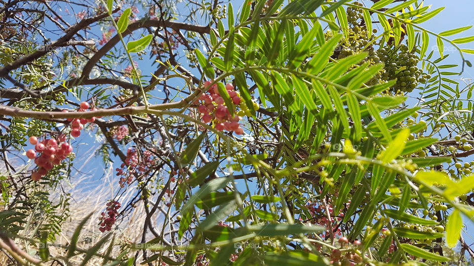 while walking on the mountain