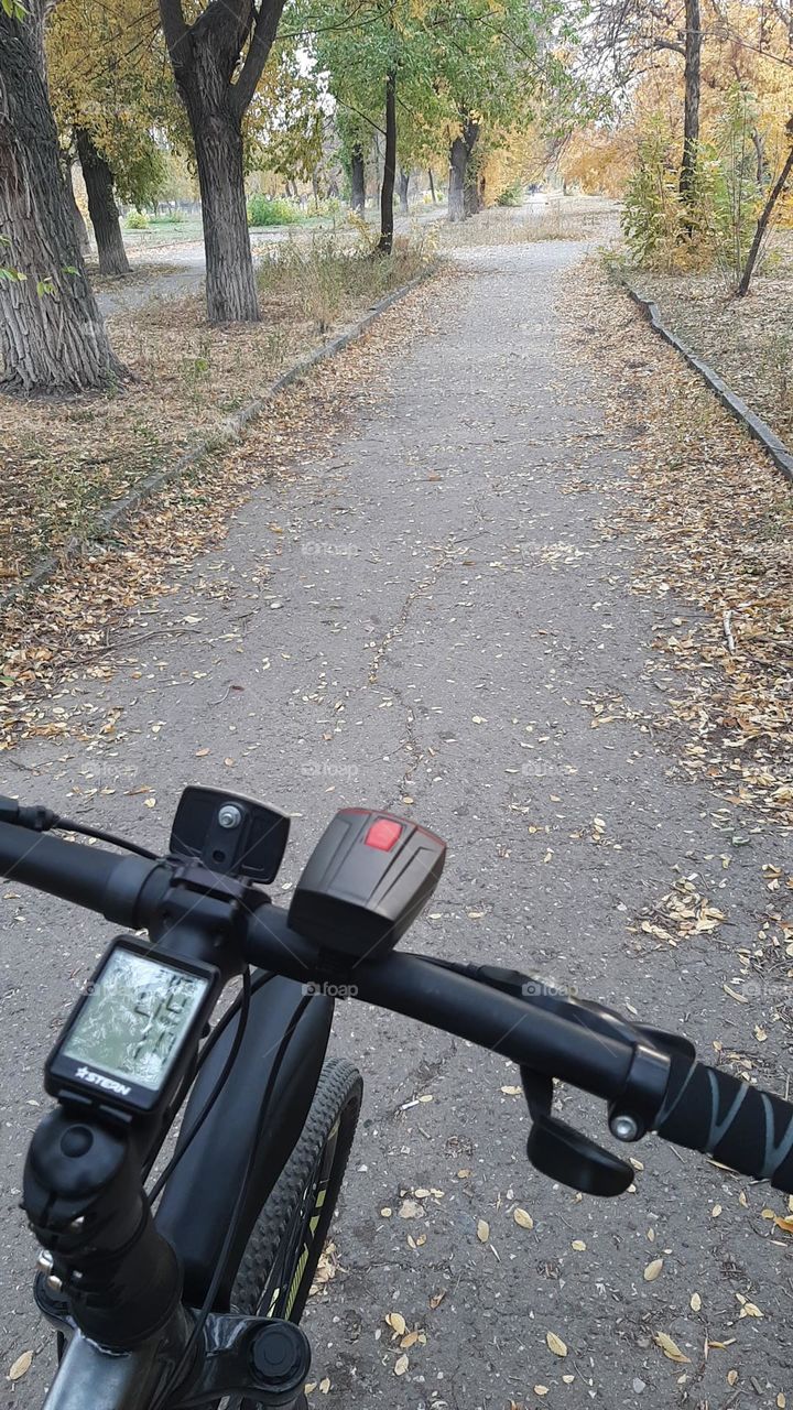 Велосипед, Осень, отдых, здоровье, stern