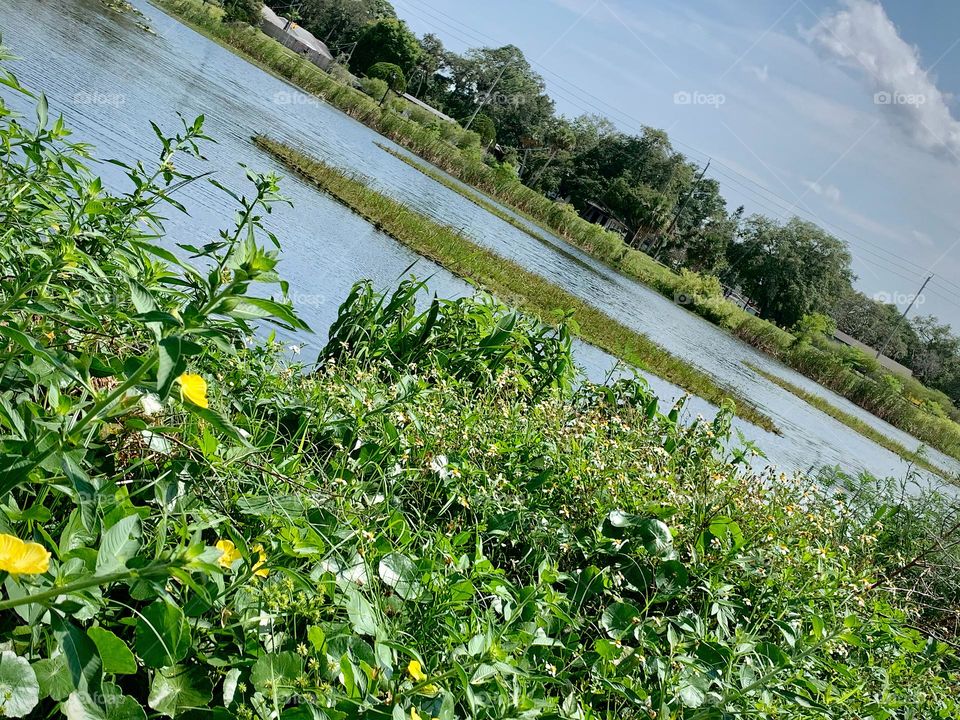 Urban Nature Water At The Draa Field Stormwater Park In The City For The Ecosystem To Provide A Water Quality Benefit To The Indian River Lagoon And To Reduce Flooding Within The Basin, In Florida.