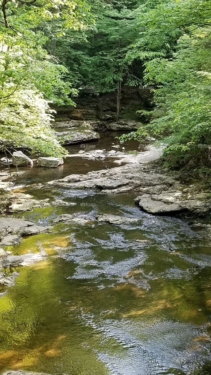 Mccormick's Creek