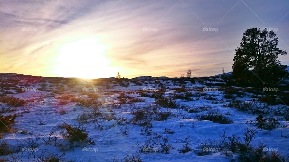 Snowy Mountains