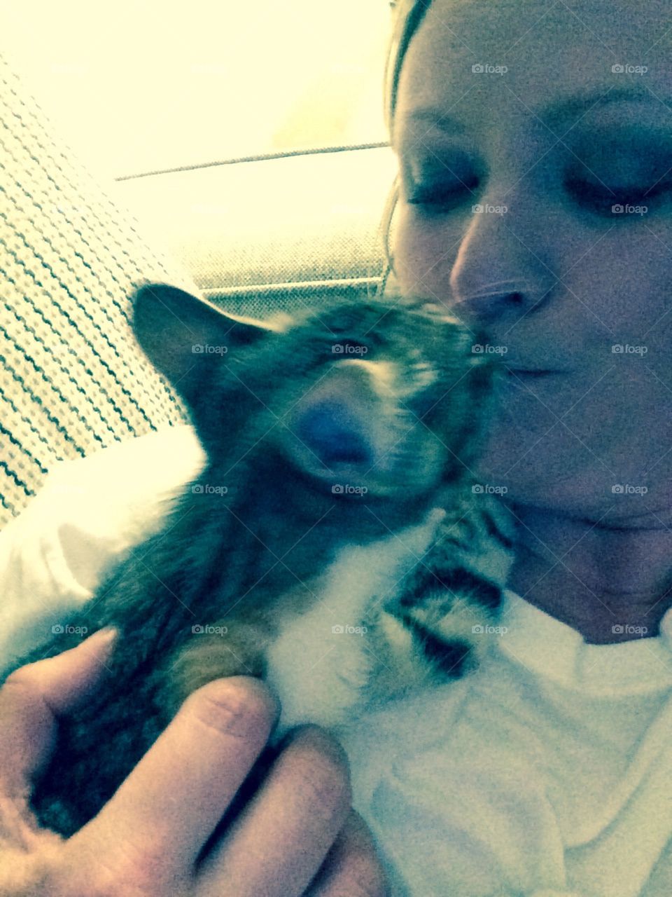 Kitty kisses
