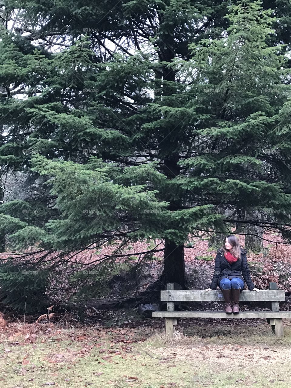 Exploring in the forest, sitting on top of a bench with boots, scarf and coat on, underneath a large fur tree in the wintertime 