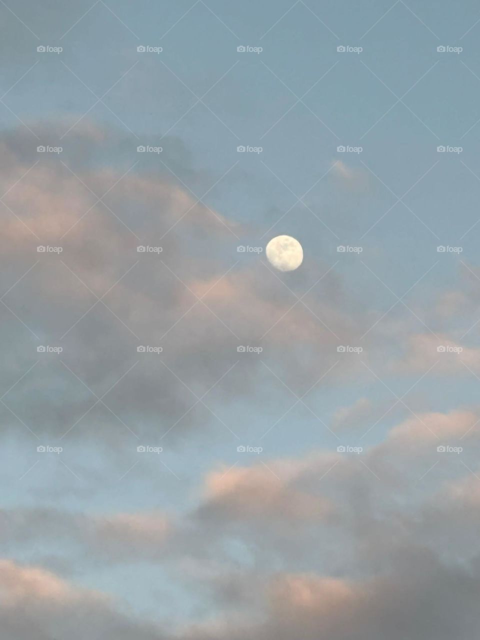 More shot by iPhone 7 plus 