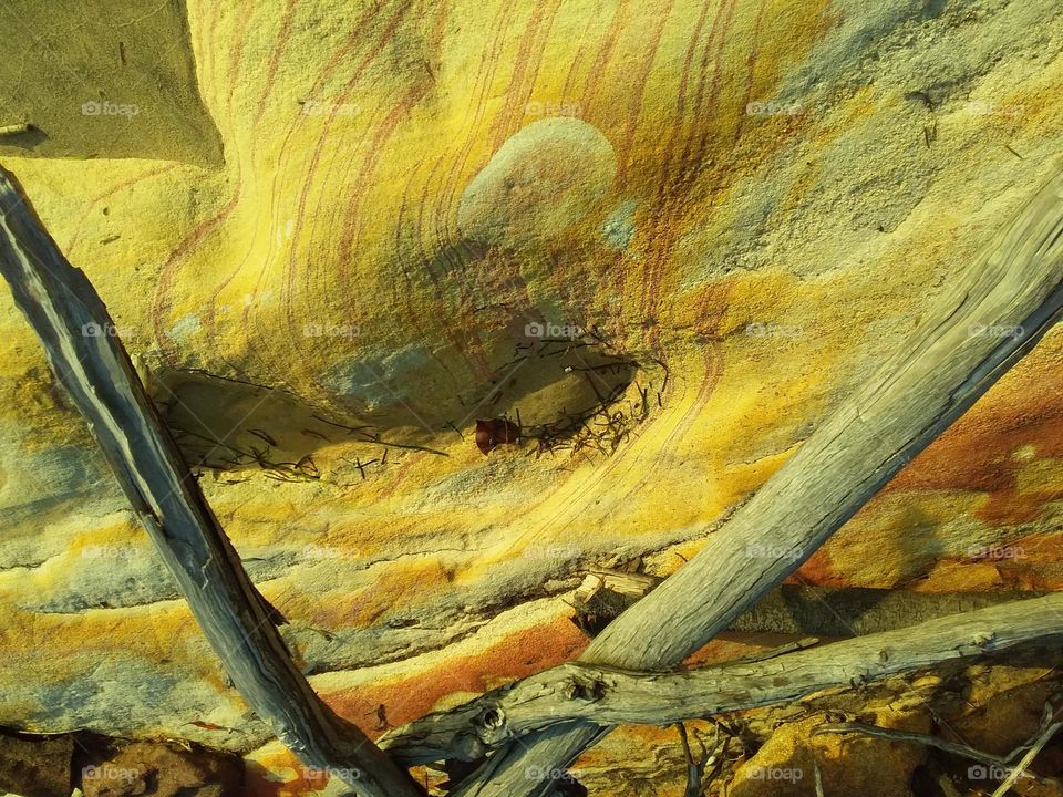 yellow rocks at the beach