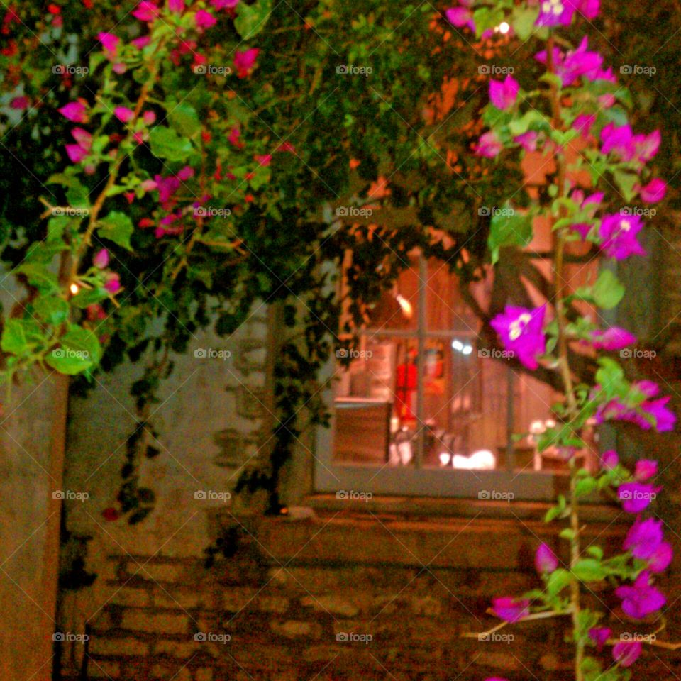 New Orleans!. Beautiful Flowers in a Courtyard in New Orleans!