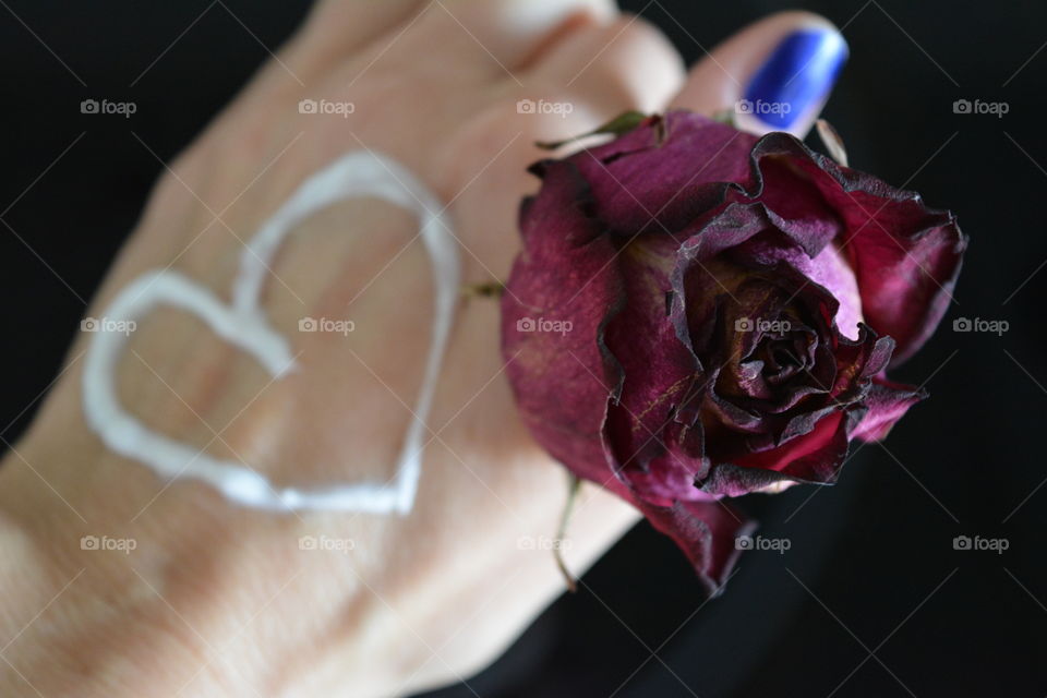 Flower, Rose, Wedding, Love, Romance