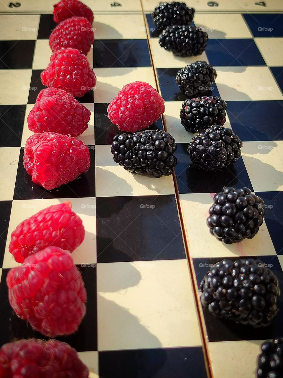 Summer treats. There are two types of berries on the chessboard: red raspberries and black blackberries. Contrast of color and taste