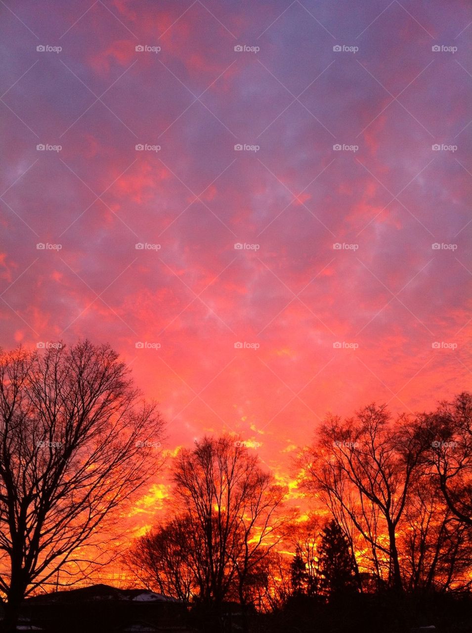 Flaming sky