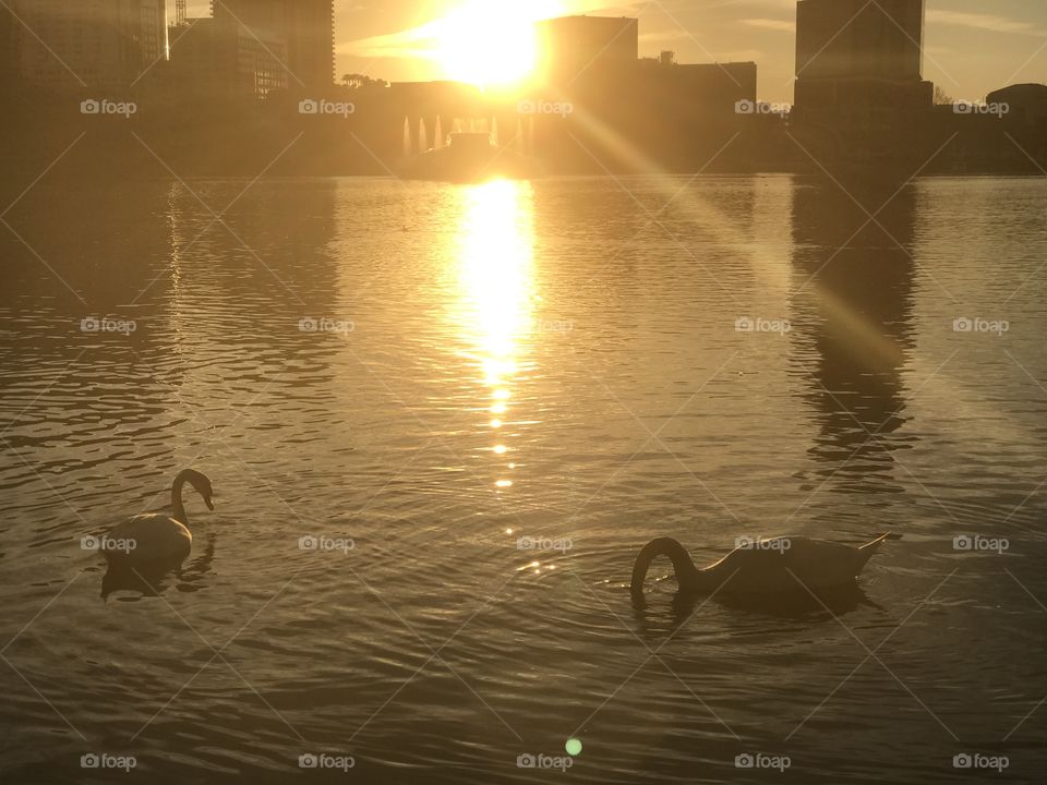 Sunset, Water, Dawn, No Person, Reflection