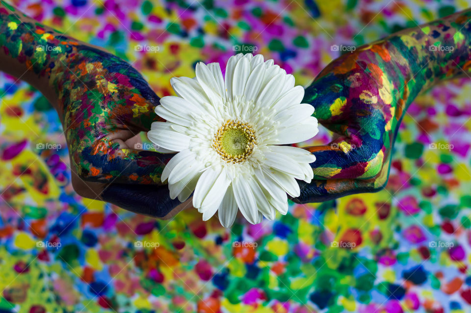 Colorful painted hands holding beautiful gerbera(daisy) flower with colorful background.