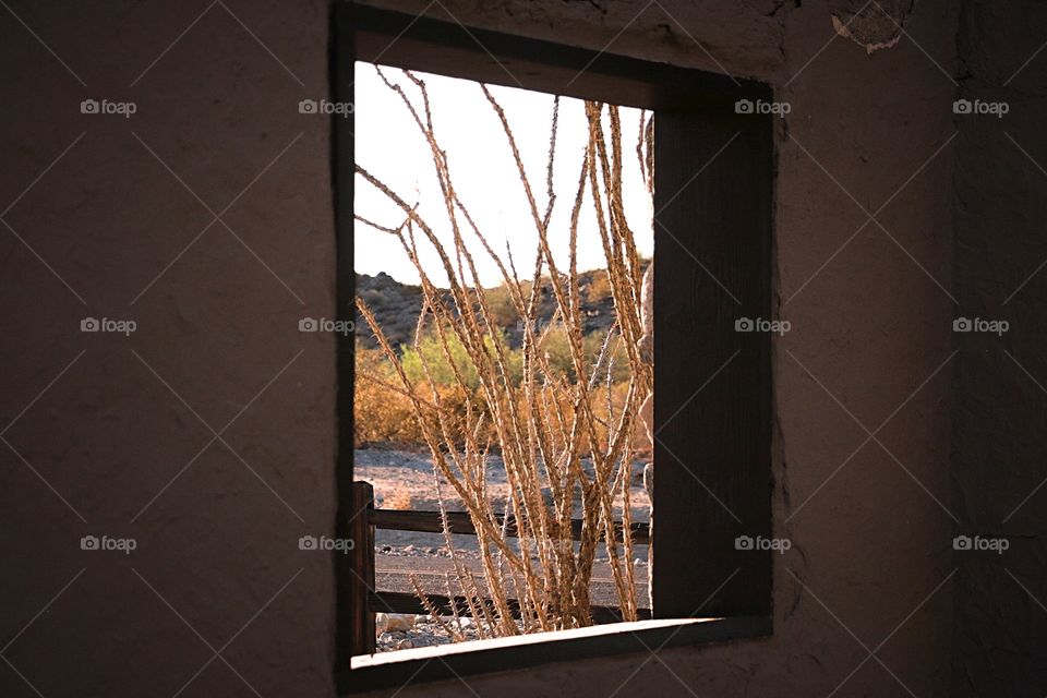 Window