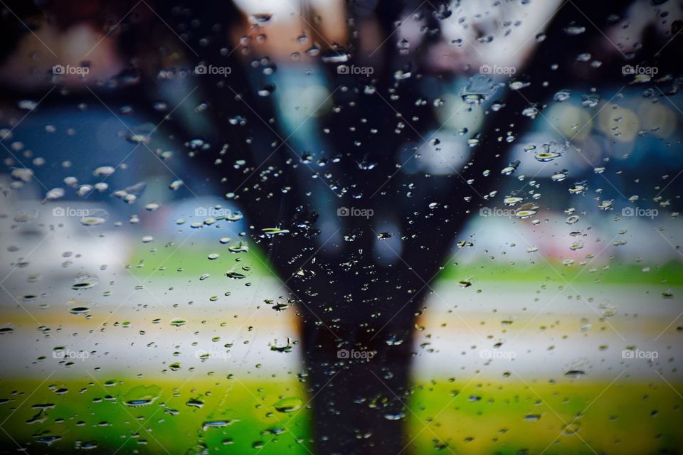 Raindrops on window