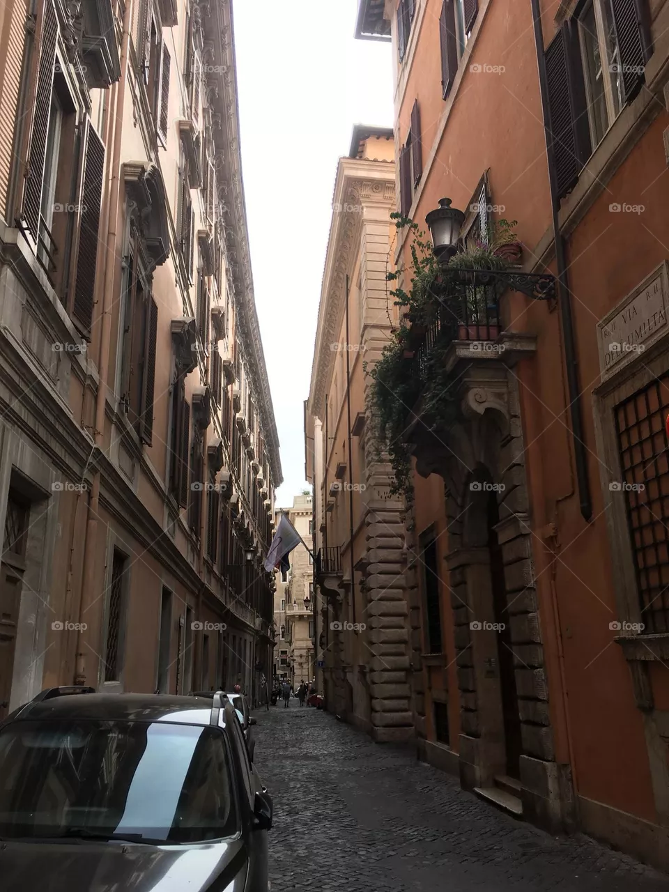 Rome ally 