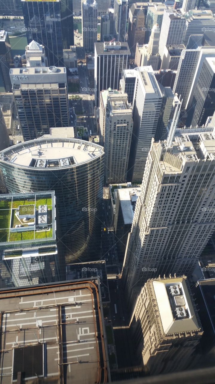 looking at a garden on top of a skyscraper