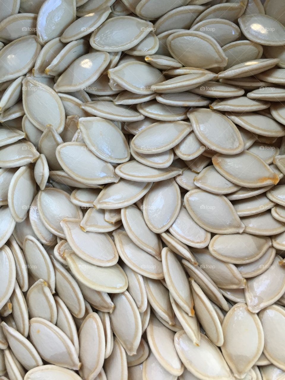 Pumpkin Seeds