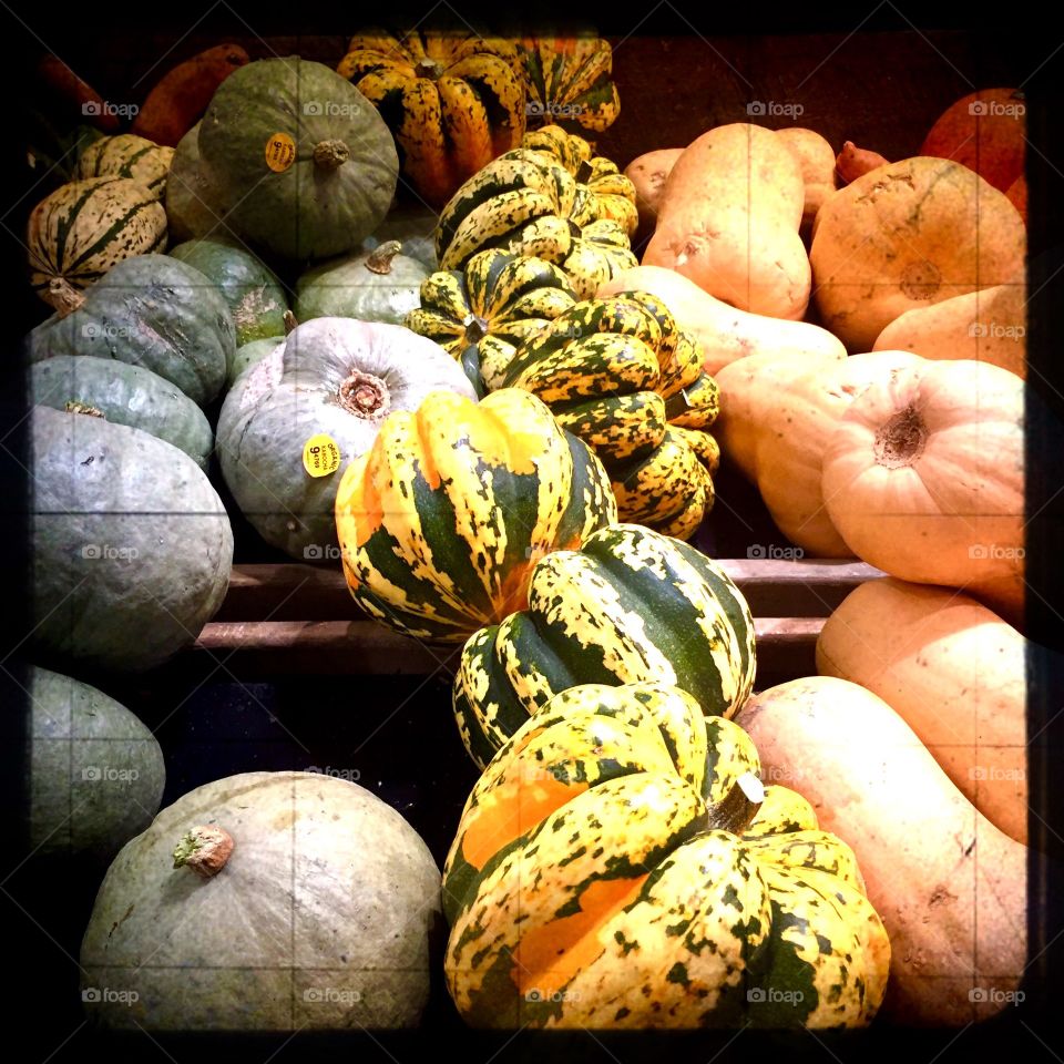 Supermarket Squash