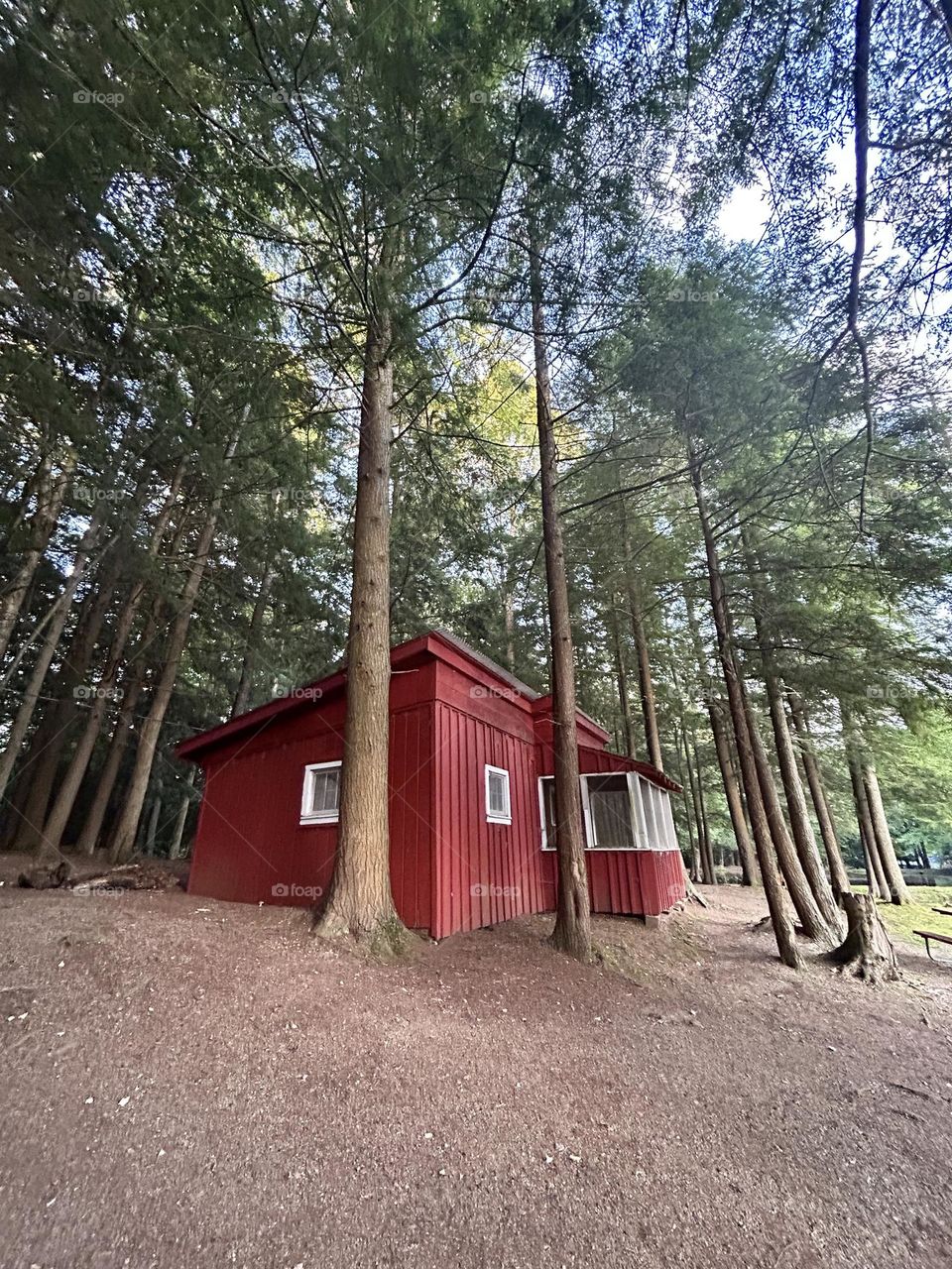 Red cabin in the woods