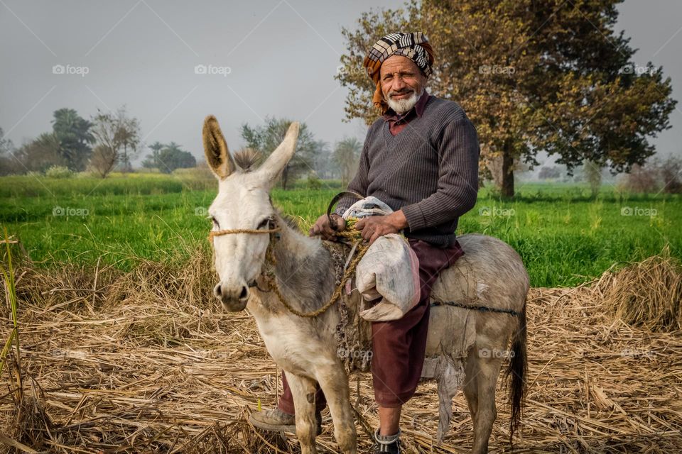 Man with donkey