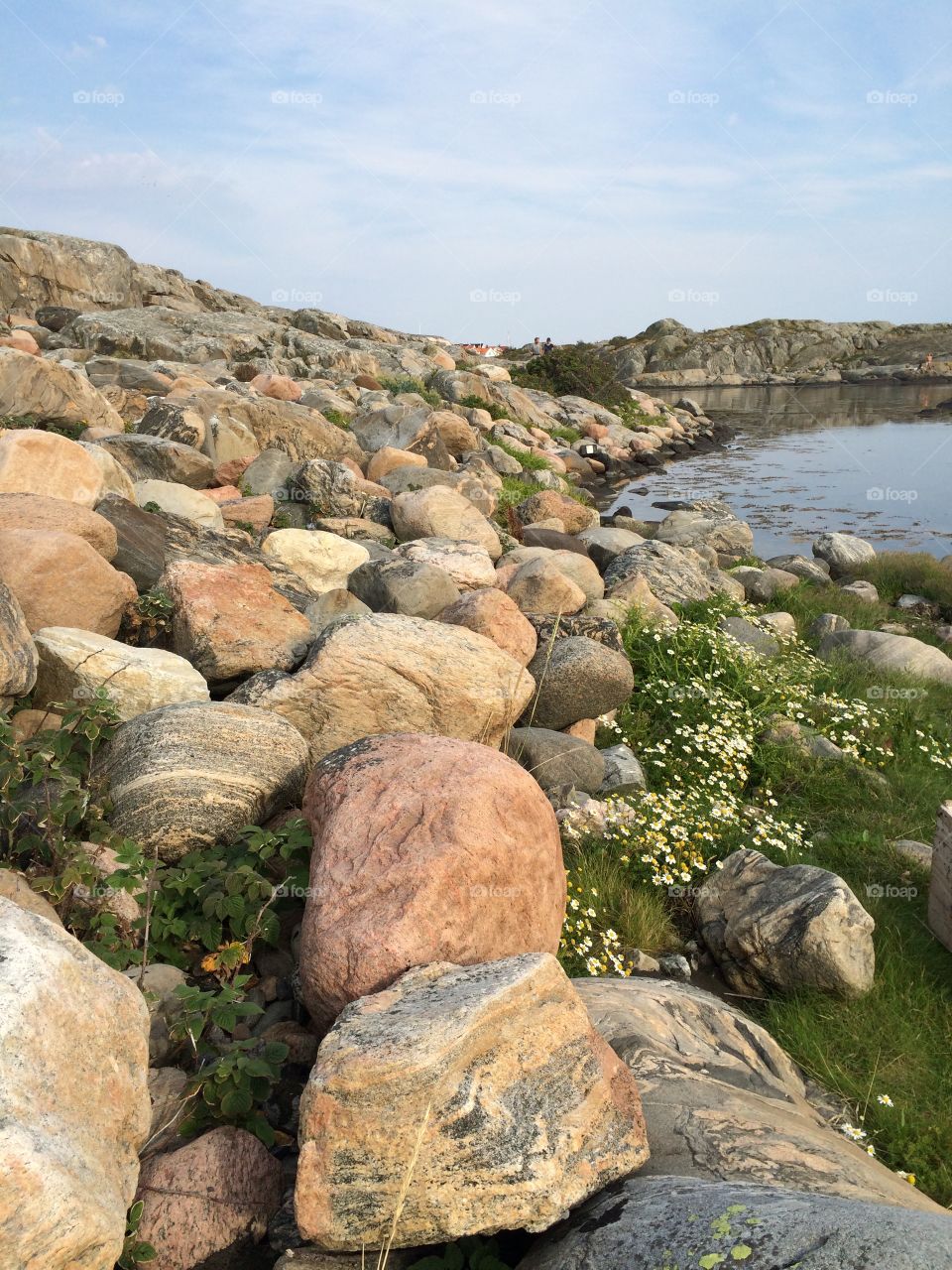 Fotö. A cosy little island near Gothenburg, perfect to swim and just wandering around