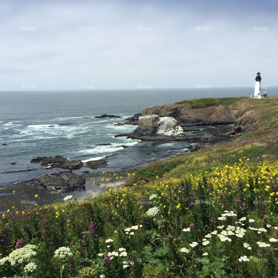 Yaquina Head Lighthouse. Gorgeous day visiting Yaquina Head Lighthouse on Oregon's coast.  One of the prettiest sites I've ever seen. 