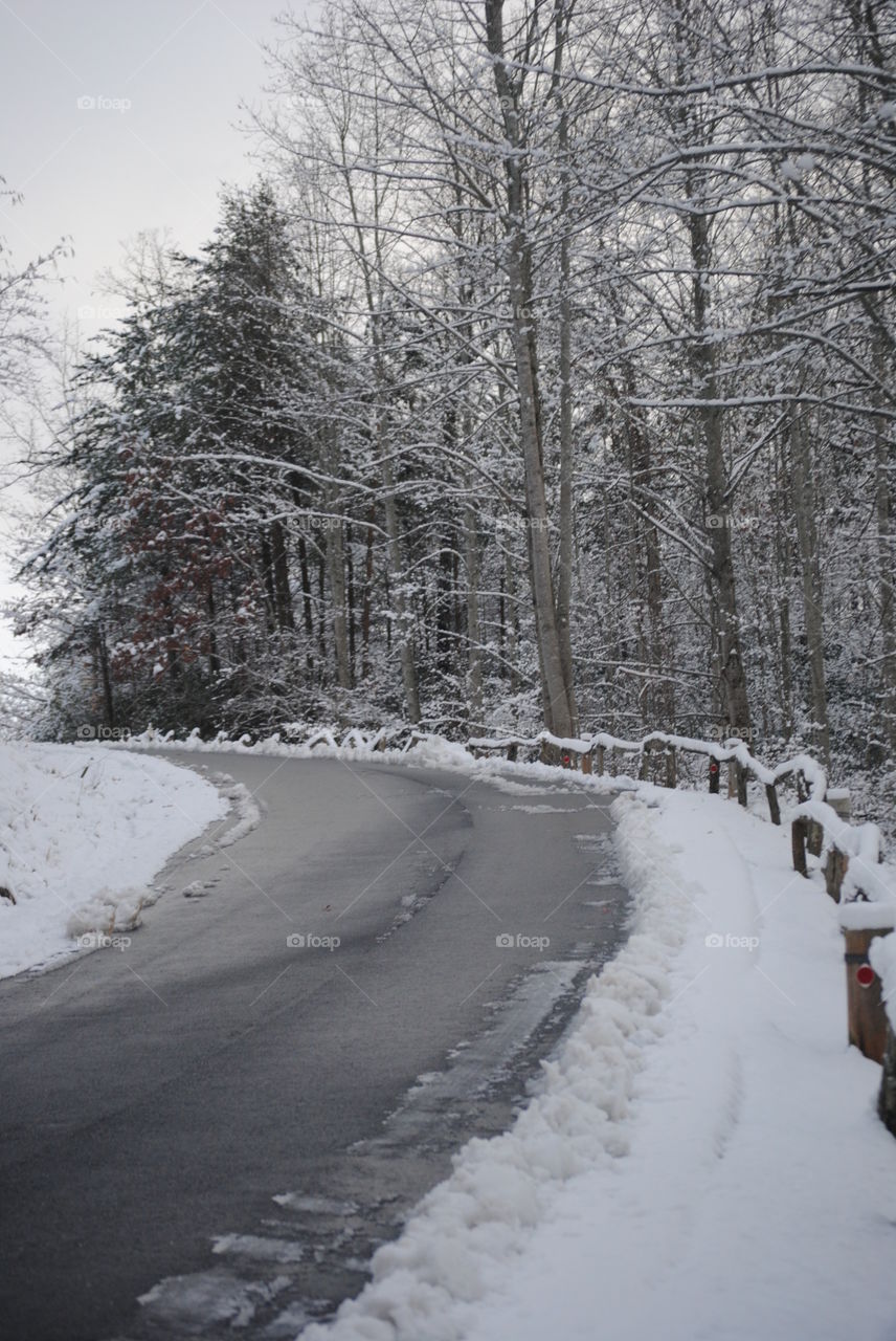 Winter Roadside