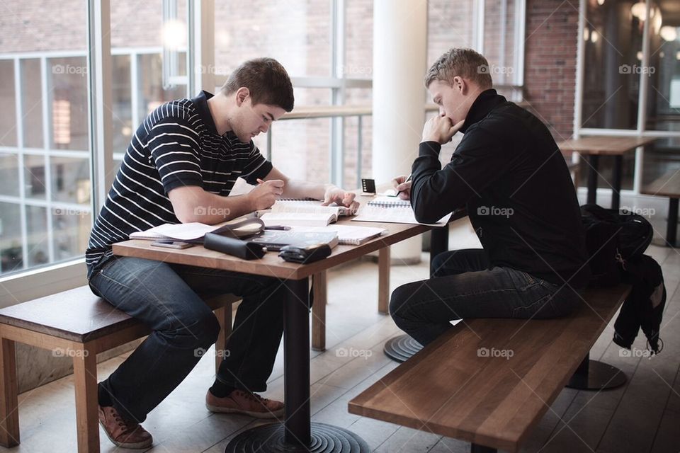 Two guys studying hard