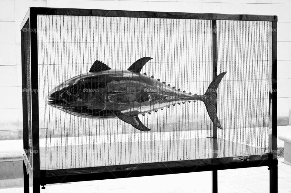 Exhibition of fish sculptures in metal in Havana