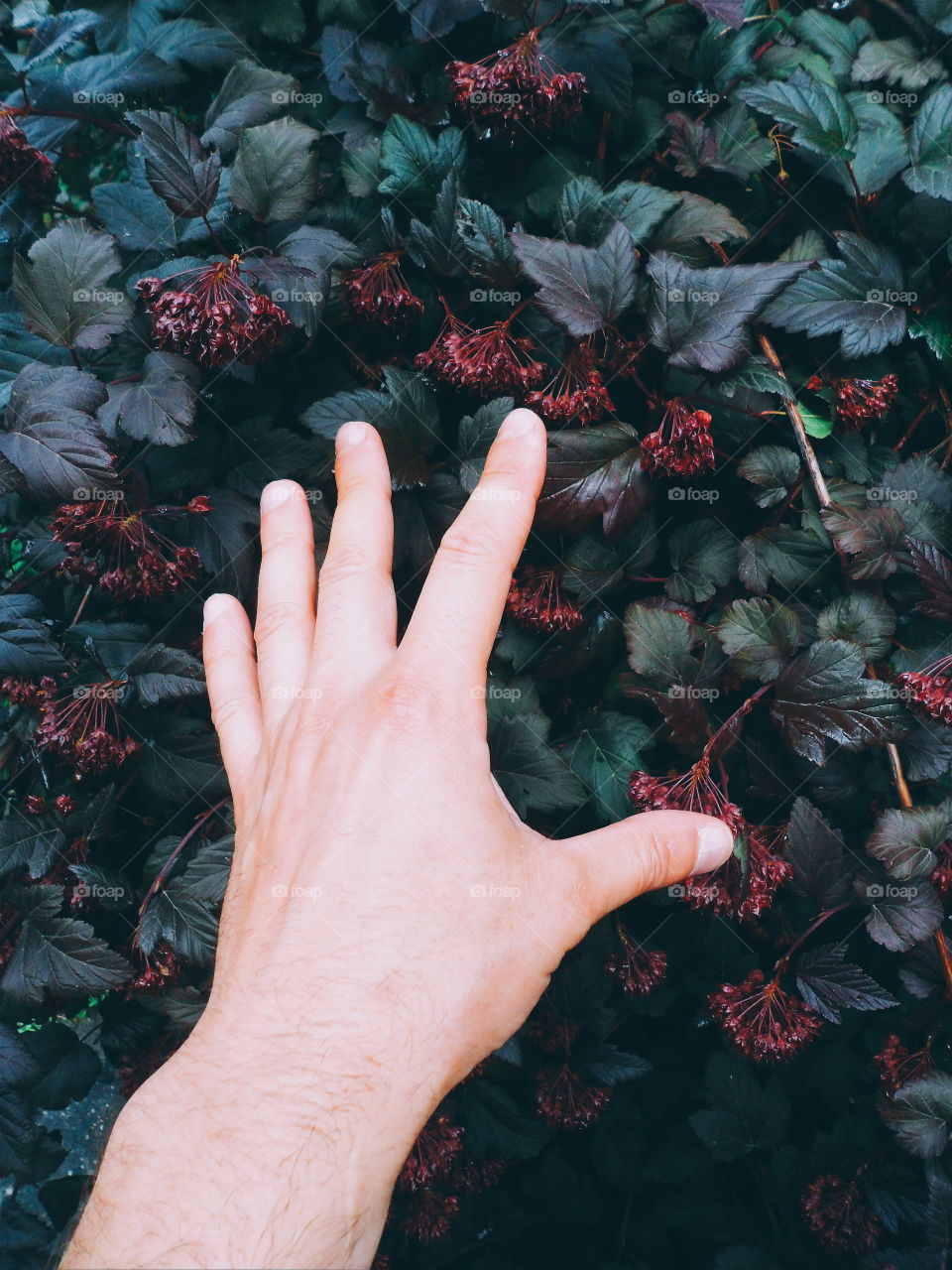 man's hand on a background of beautiful flowers