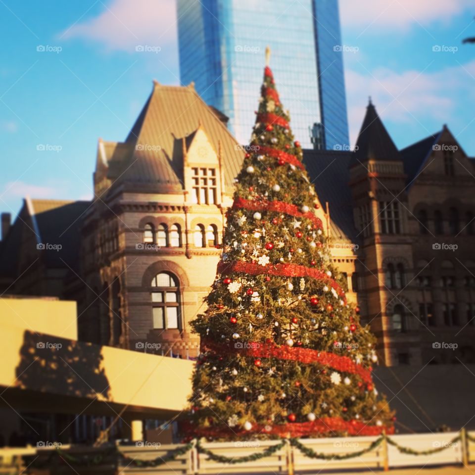 Christmas tree in Nathan Phillips Square. 