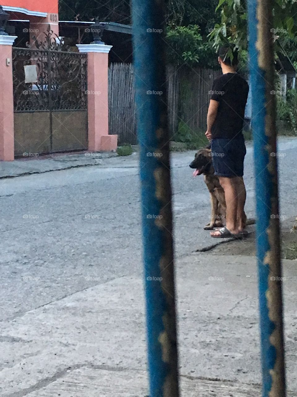 guard dog 