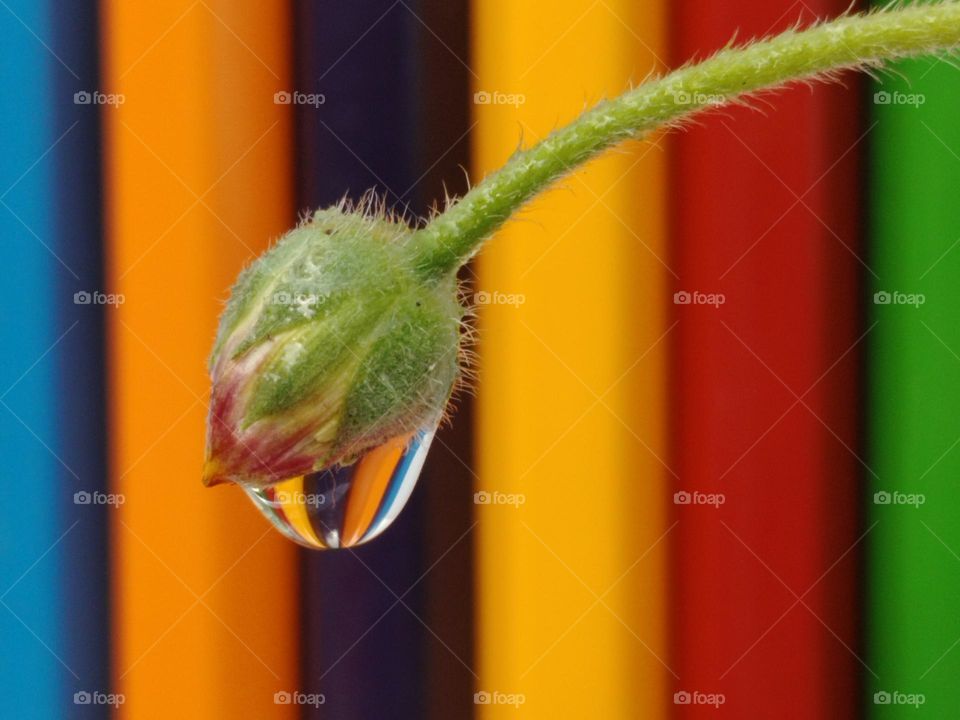 Capture of power colour