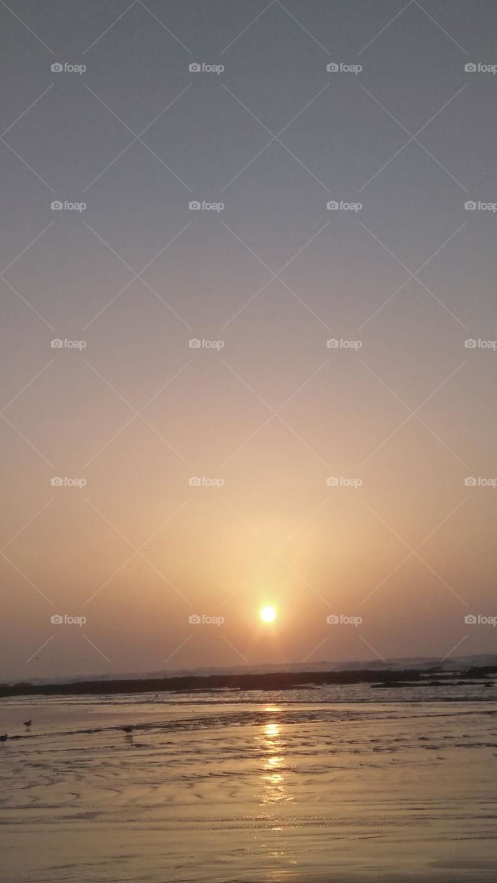 magic and golden sunset at Essaouira city in Morocco.