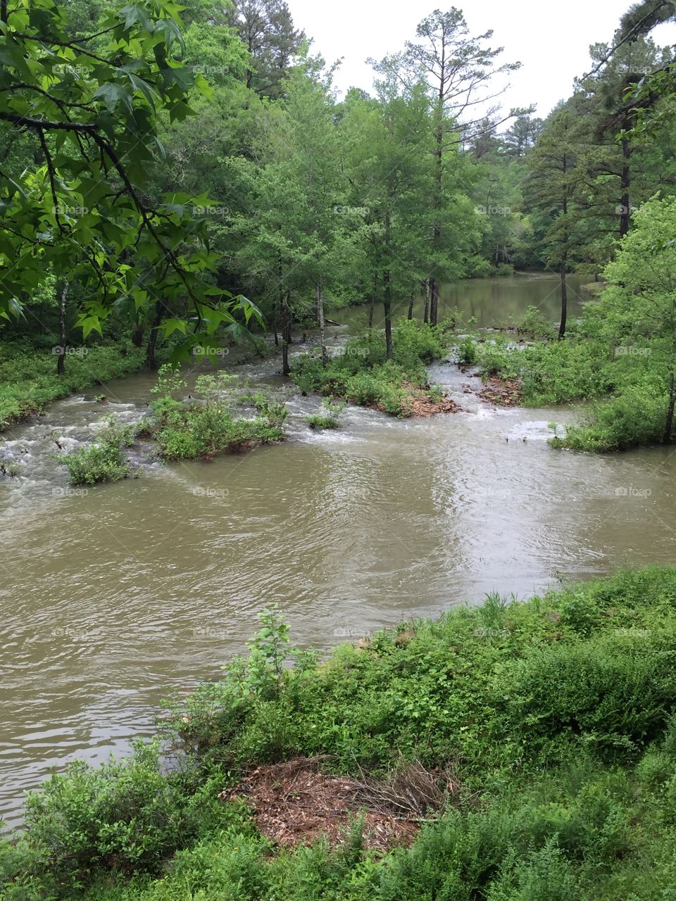 Brown Creek. Lovely creek behind my moms house