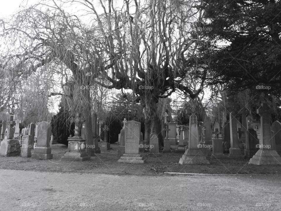 Dean cemetery Edinburgh