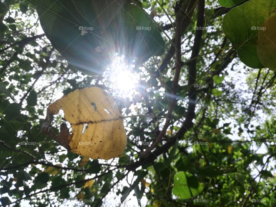 There is a time in the last few days of summer when the ripeness of autumn fills the air.
