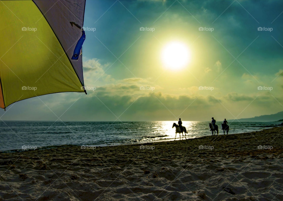 sunset on the coast by the sea in summer horse ride on the beach