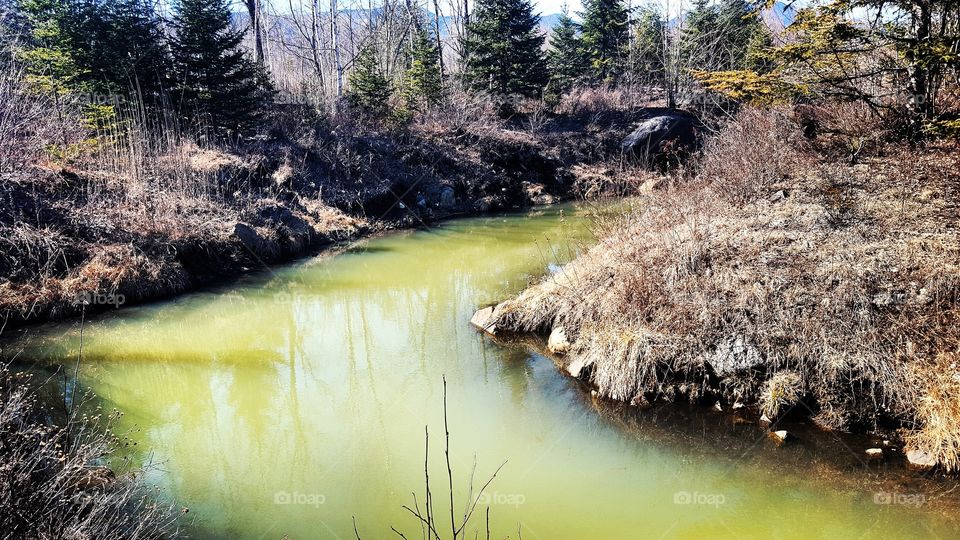 green spring flow stream