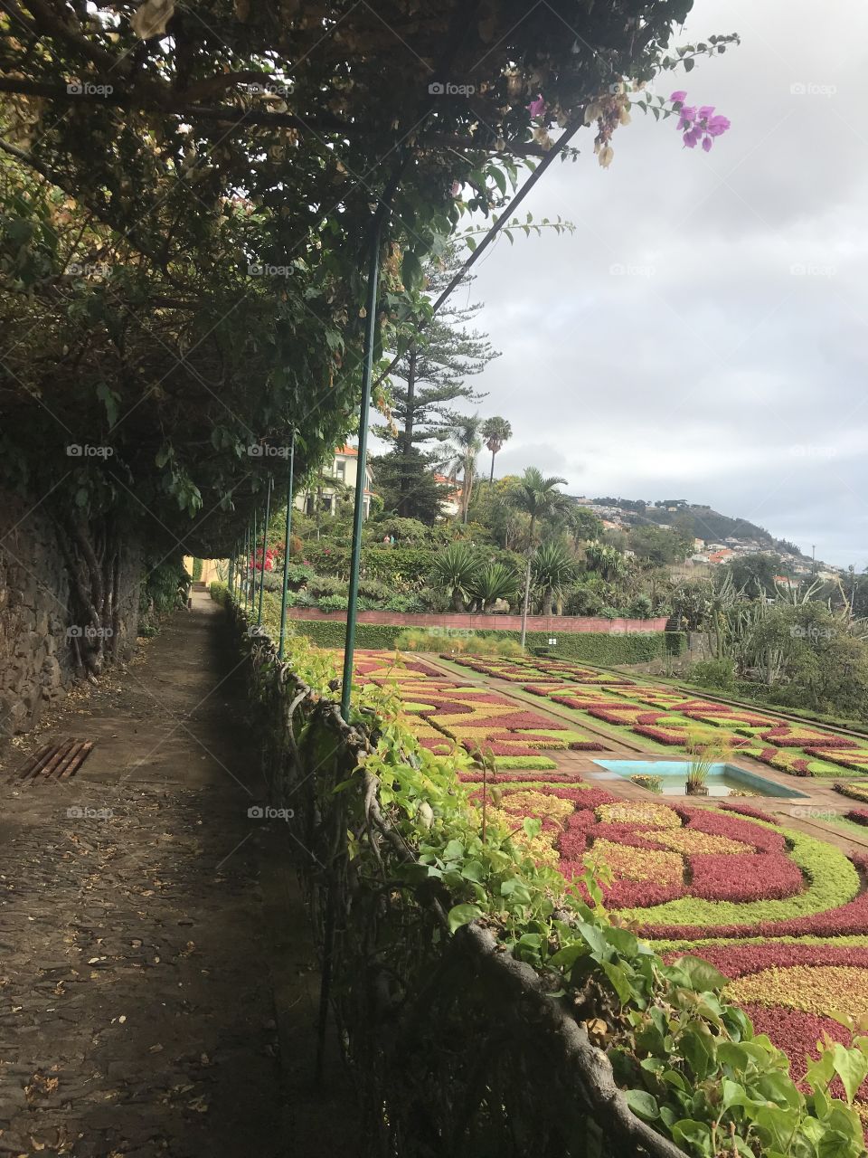 Jardim botânico Funchal 
